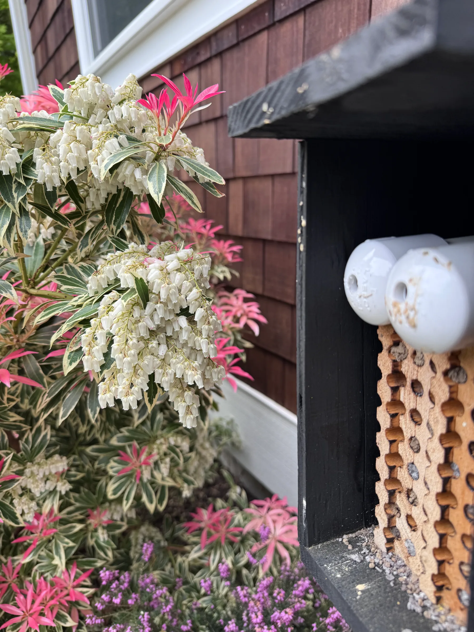 Grow More Food. Help Pollinators Thrive.